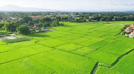 Plot for sale - Dulwich village